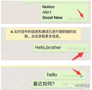 whatsapp安卓下载安装_WhatsApp_whatsapp添加客户手机号方法