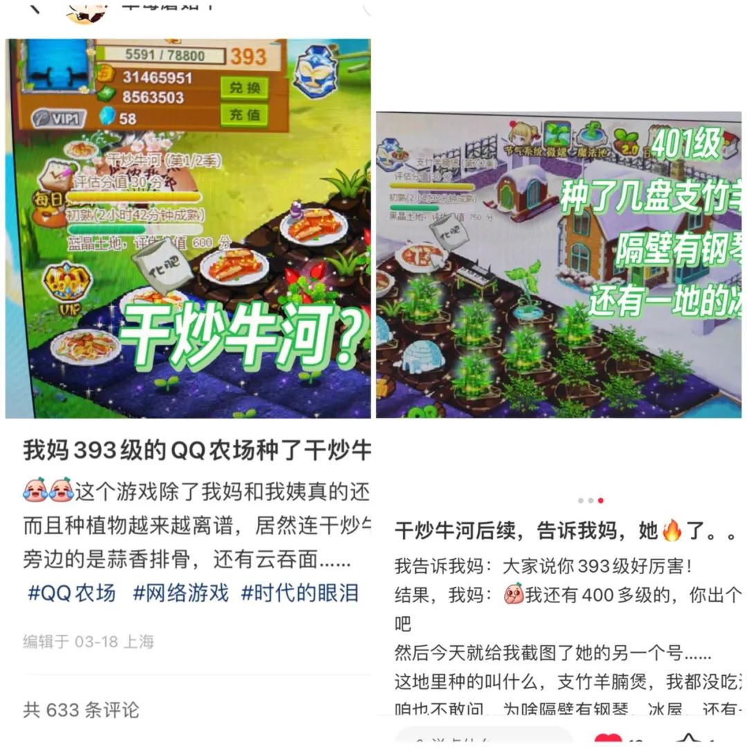 陈阿姨的《QQ农场》习惯_玩《QQ农场》超过10年_qq农场有机种子是什么