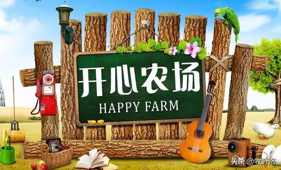 开心农场 腾讯QQ农场 偷菜游戏发展历程_qq农场有机种子是什么