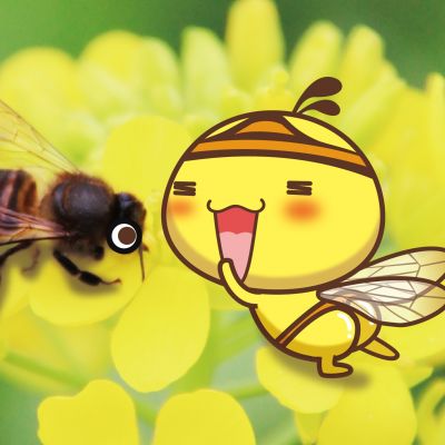 windows注册表清理_金山卫士清理注册表_清理注册表垃圾