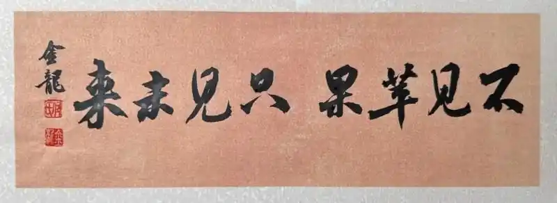 WhatsApp_未来全屏通头显_全屏通FOS系统