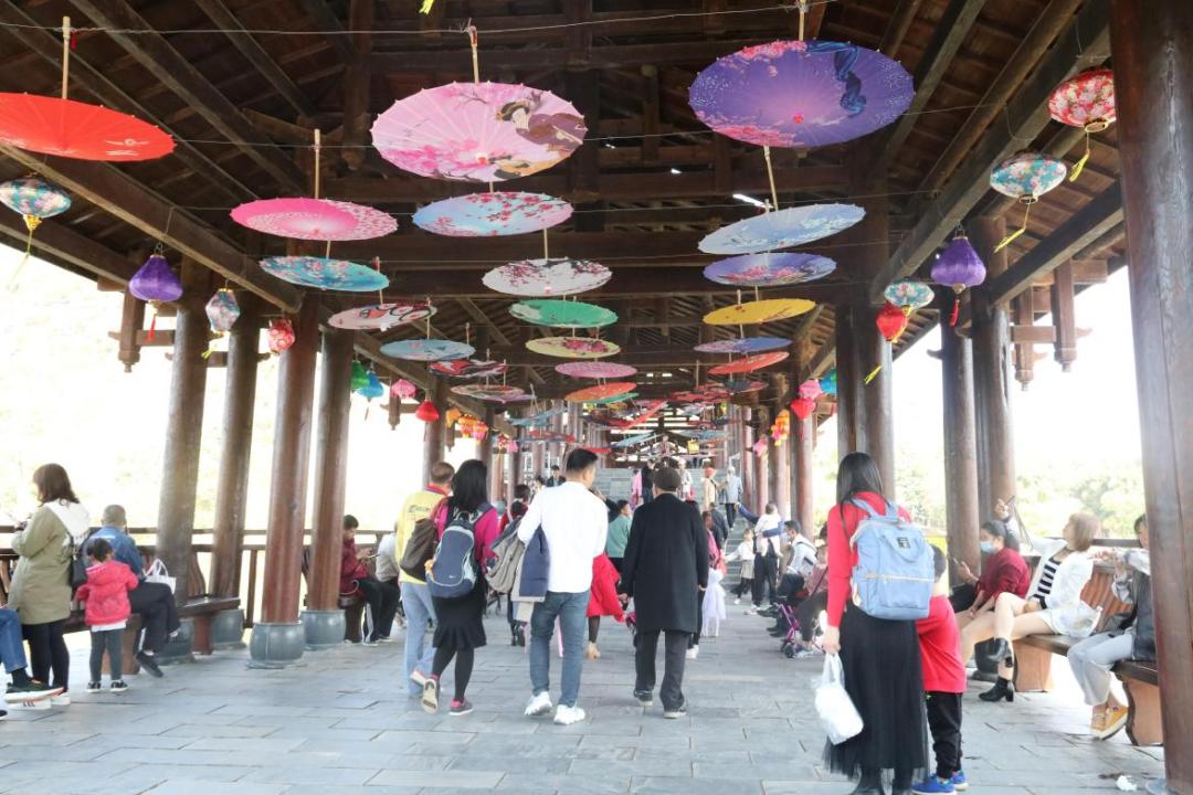 南宁花花大世界热气球免费体验券_2025年1月南宁花花大世界现在有什么活动_南宁花花大世界滑翔伞免费体验券