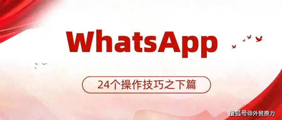WhatsApp新设备关联_WhatsApp_WhatsApp批量导入联系人