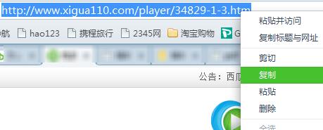 西瓜影音播放器官网_西瓜影音播放器下载_苹果助手能下载西瓜播放器