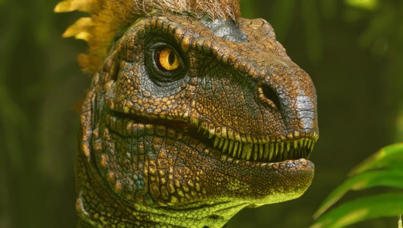 极限硬盘需求游戏_比较火的电脑网络游戏_需要极大硬盘空间的游戏