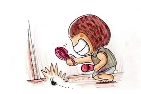 家里有蟑螂要请公司吗_家庭蟑螂防治方法_如何彻底根除蟑螂