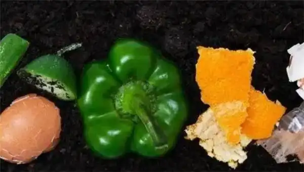 家里有蟑螂要请公司吗_如何彻底根除蟑螂_家庭蟑螂防治方法