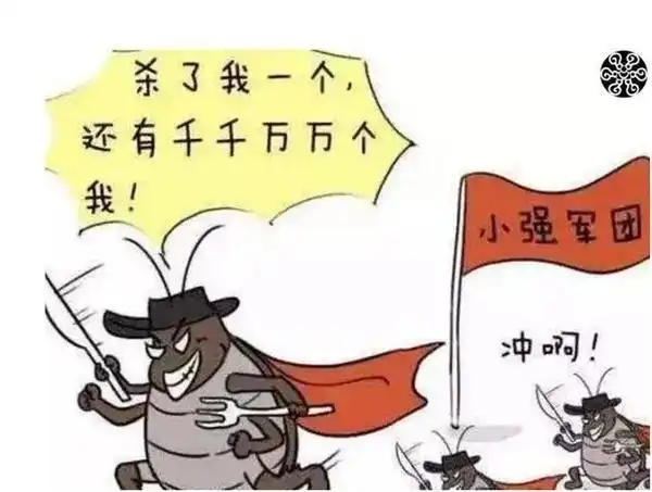 家里有蟑螂要请公司吗_家庭蟑螂防治方法_如何彻底根除蟑螂