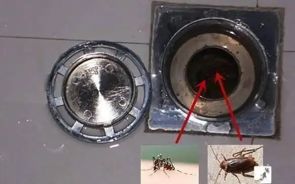 家里有蟑螂要请公司吗_家庭蟑螂防治方法_如何彻底根除蟑螂