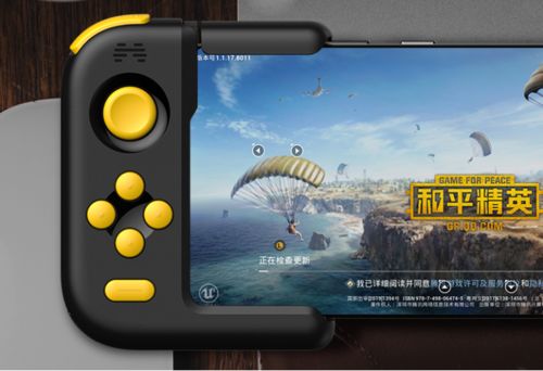 玩吃鸡电脑自动重启_和平精英极限帧率设置_吃鸡手游帧率调节软件