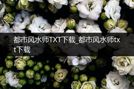 都市风水师TXT下载_都市风水师txt下载