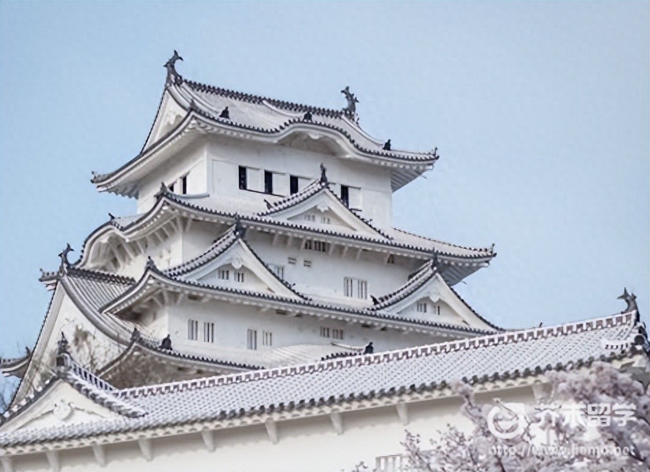 芥末留学网是免费的吗_九州地区语言学校推荐_日本九州地区留学