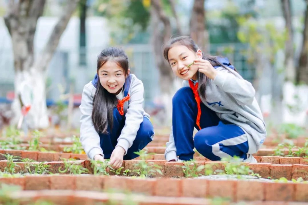 成都市随迁子女小升初入学条件_成都市随迁子女入学政策_成都市教育局在线办事平台