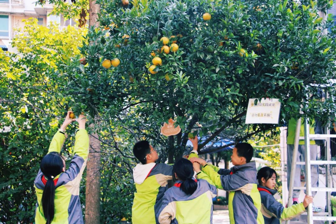 成都市教育局在线办事平台_成都市随迁子女入学政策_成都市随迁子女小升初入学条件