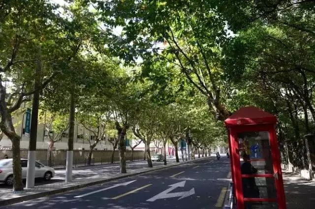 爱上上海的理由图片_上海人与人之间默契的分寸感_上海包容度高的城市特点