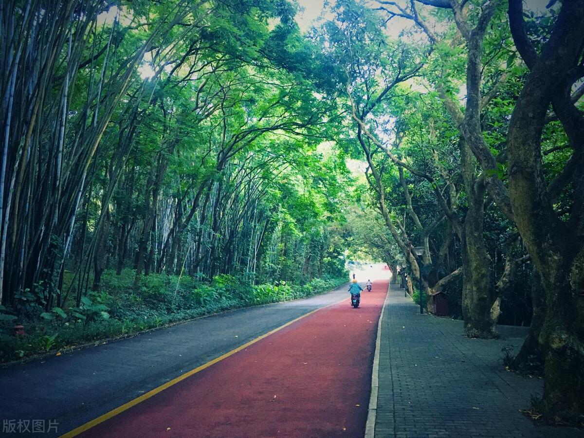 南宁景点_南宁攻略_南宁电视台综合新闻频道上林原生态师公