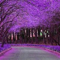 显示器无信号_电脑无法开机_电脑正常关机后无法开机