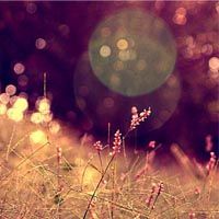 电脑正常关机后无法开机_显示器无信号_电脑无法开机