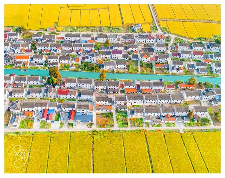 add oil 牛津词典_中式英语 牛津词典_提供周到的服务英文