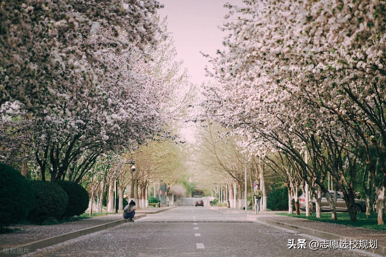 中科大研究所信息平台_中科大与国科大哪个更适合你_中国科学技术大学与中国科学院大学区别