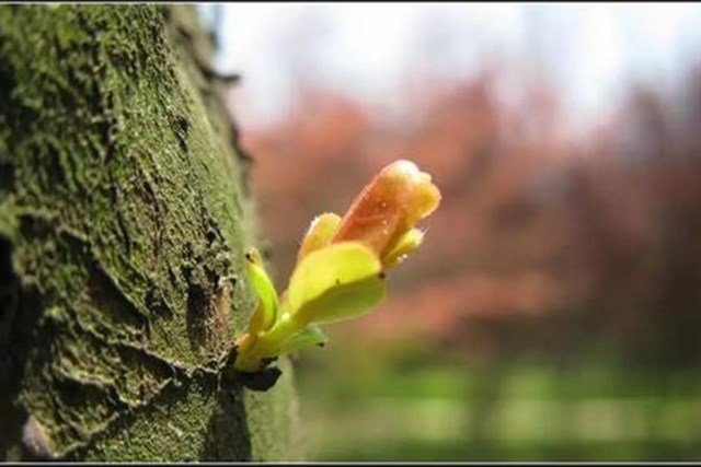 小说创作六步法_如何开始写小说_神马小说为啥打开就是神马搜索