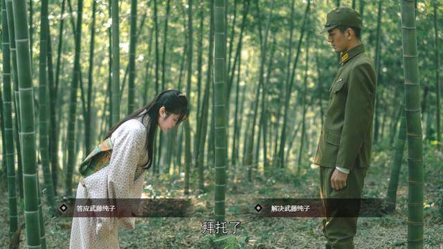 隐形守护者游戏体验_谍战游戏推荐_连我妈都能通关 的老妈模式的游戏是什么