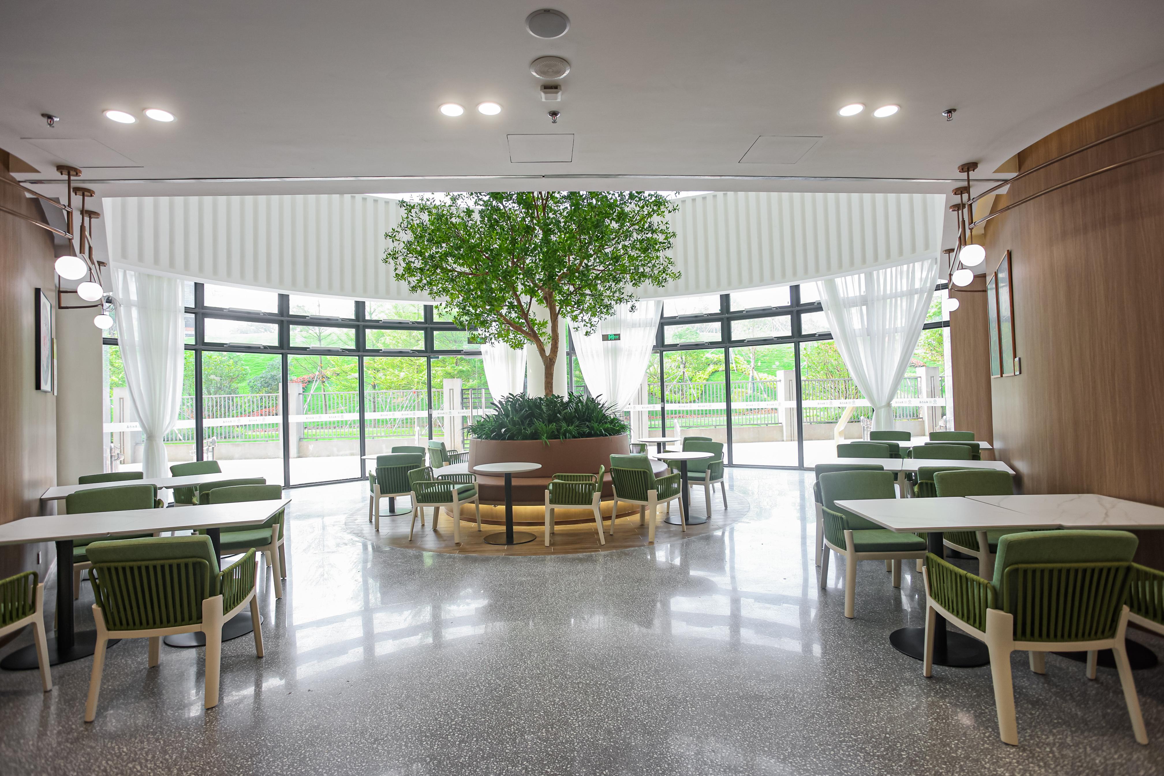 光明社会福利院_深圳福利院可以去看吗_光明区养老事业