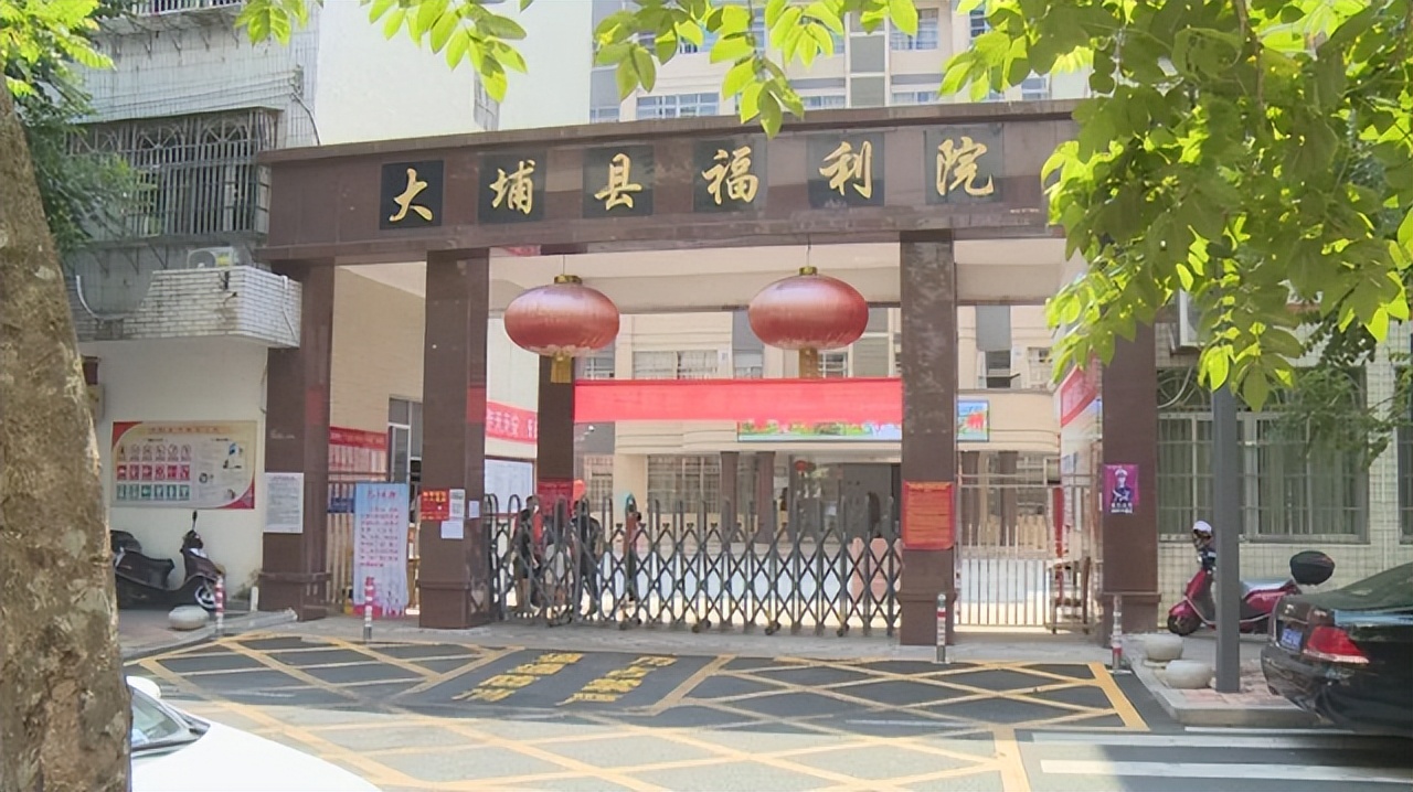 从福利院走出又回归的陈霞_深圳福利院可以去看吗_陈霞回福利院工作的缘由