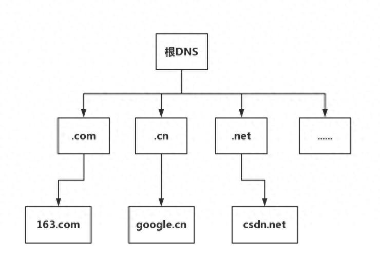 DNS解析过程_dns是文件传输服务器_DNS树状结构