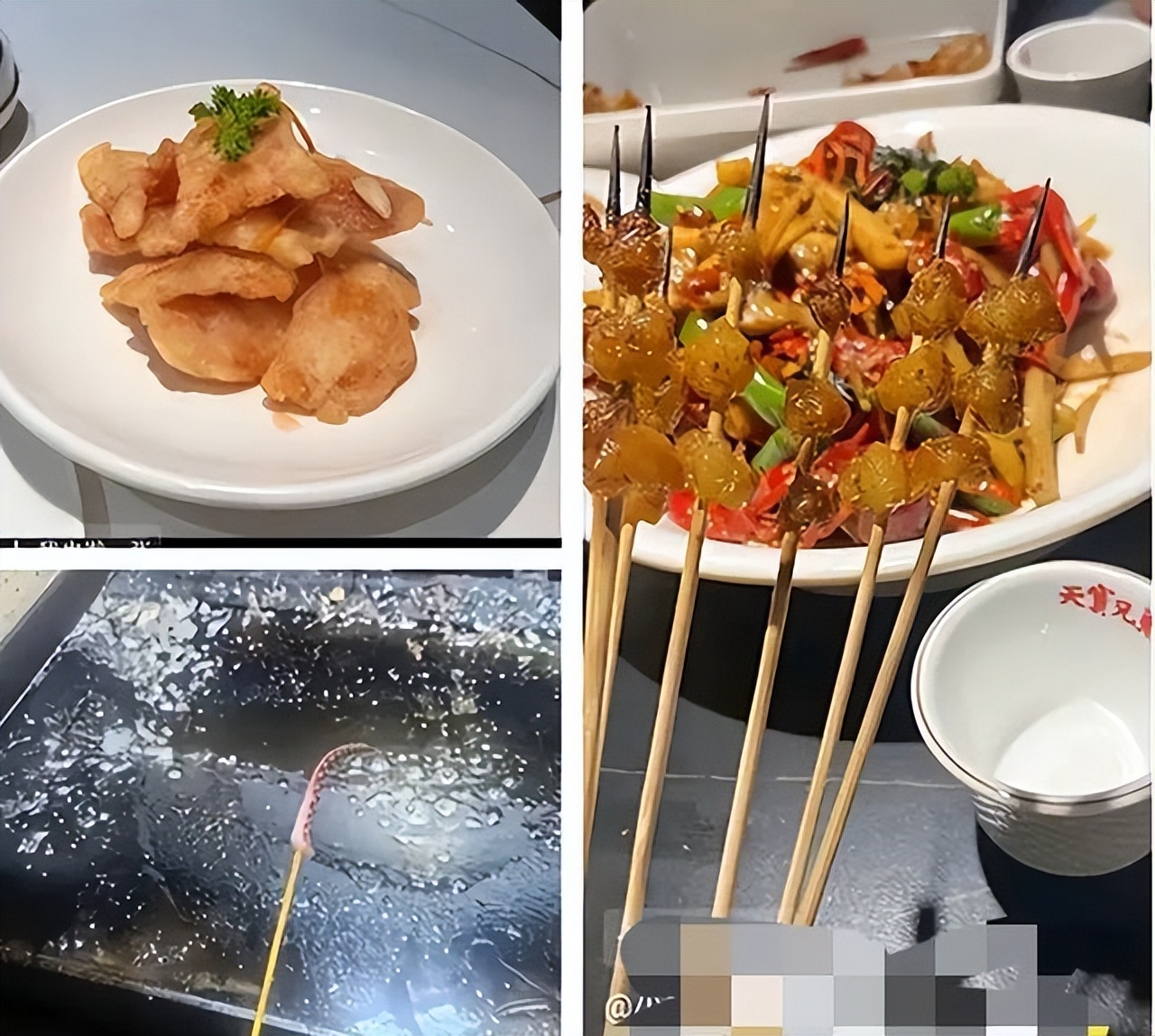 香港美食100强视频播放_香港游客体验东北菜_东北菜份量足