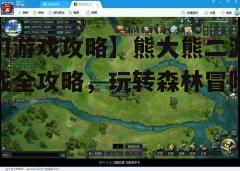 三、游戏攻略分享