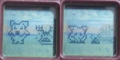 斗龙游戏机说明书_数码兽摇摆机进化教程_喂食食物品种