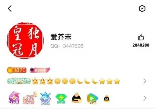爱芥末QQ账号_QQ满级玩家_qq等级快速升级的方法