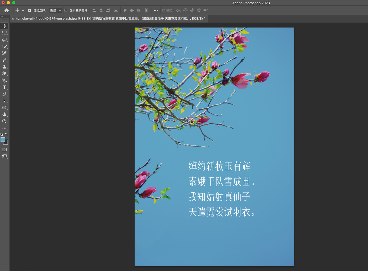 PS仿制图章工具教程_怎样在电脑上将图片中的字改掉_如何使用PS修改图片文字