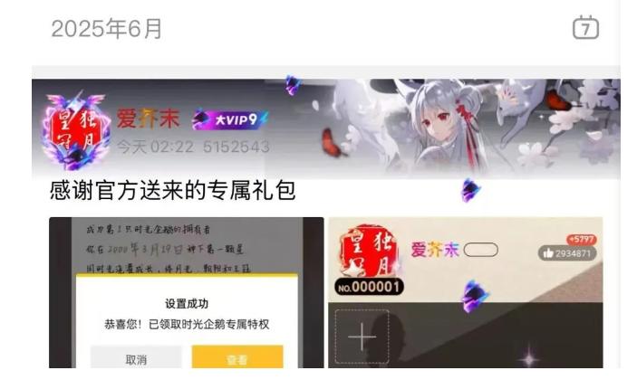 qq等级快速升级的方法_全球首位QQ256级用户_QQ时光企鹅等级图标