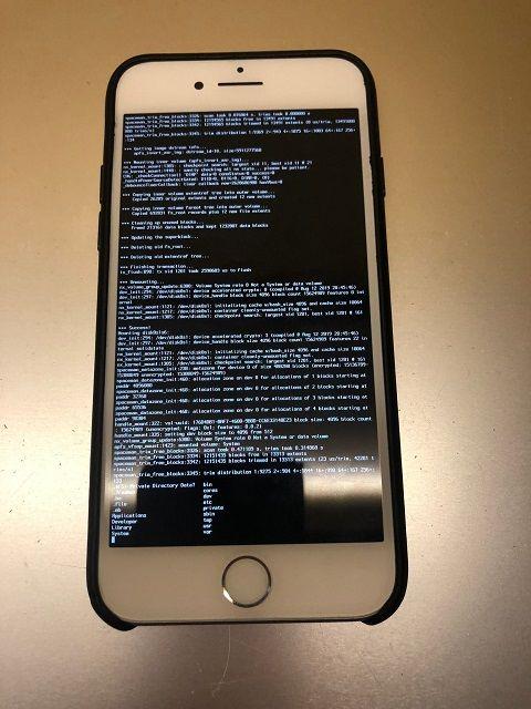 iPhone 8 双 iOS 系统 iOS13.3 和 13.3.1 共享应用数据 _ 64位设备双系统引导破解技巧 _苹果笔记本电脑双系统安装教程
