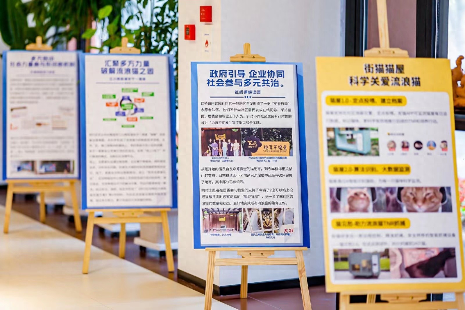 上海流浪猫数字化管理_智能流浪猫屋应用_猫咪社区app老版官网