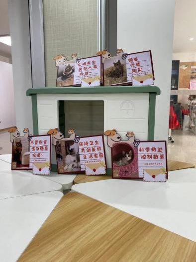 猫咪社区app老版官网_养宠居民自治_社区文明养宠