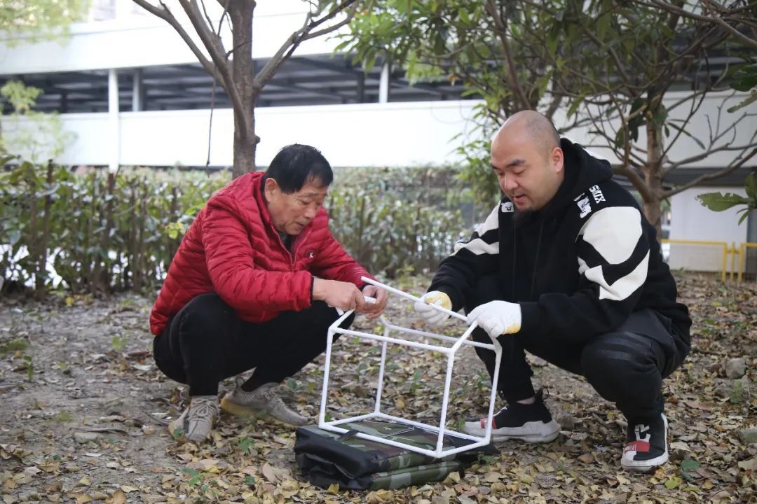 和谐相处流浪动物_猫咪社区app老版官网_社区治理流浪动物