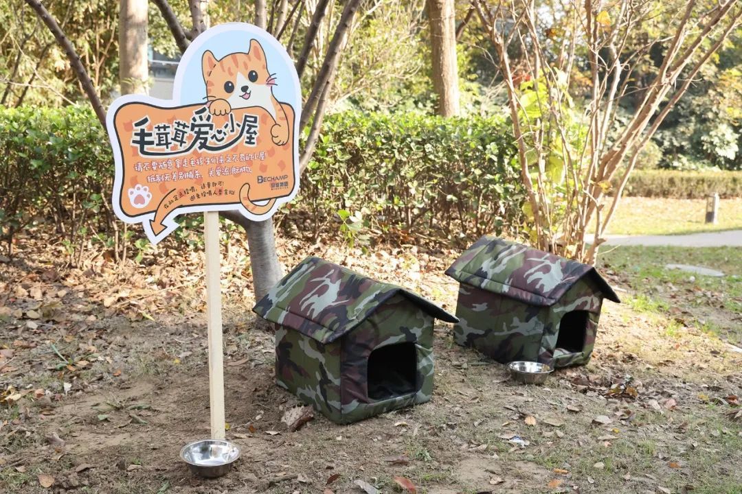 猫咪社区app老版官网_和谐相处流浪动物_社区治理流浪动物