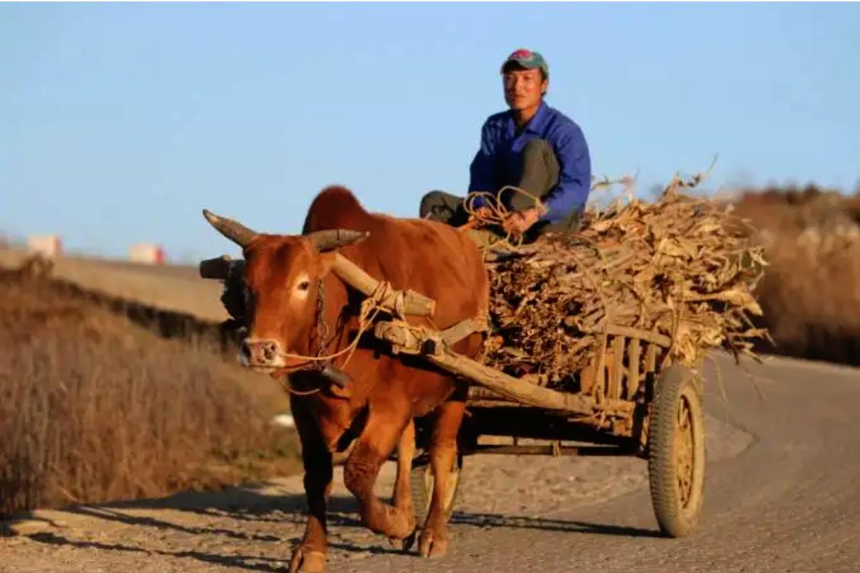 USB传输协议_USB接口类型_小米6数据线接口类型